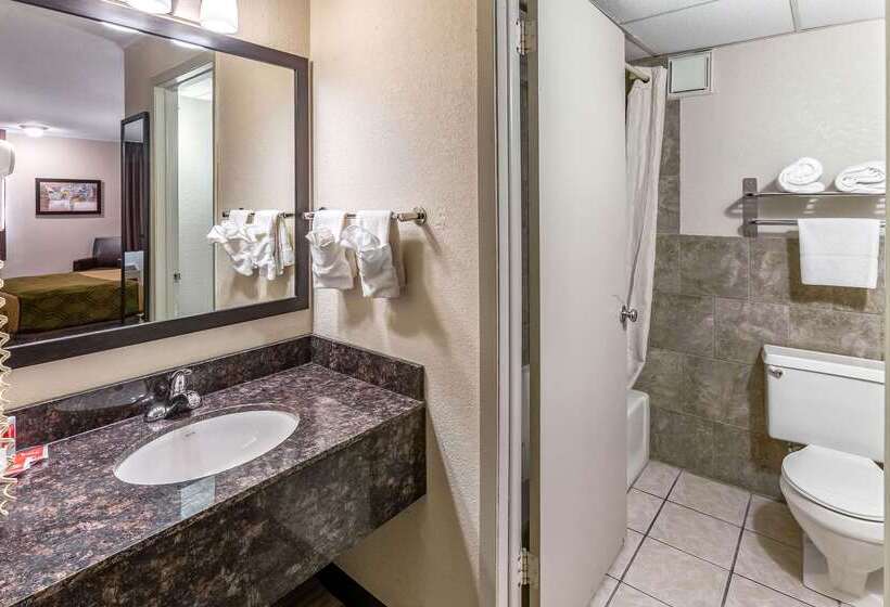 Отель Econo Lodge Inn & Suites