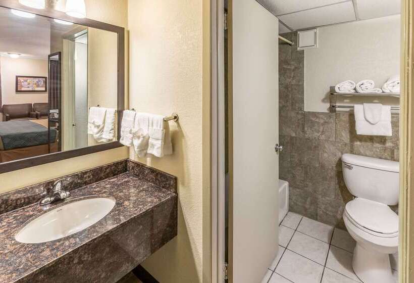 Отель Econo Lodge Inn & Suites