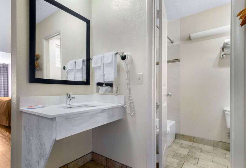 酒店 Econo Lodge Inn & Suites Gatlinburg At The Convention Center