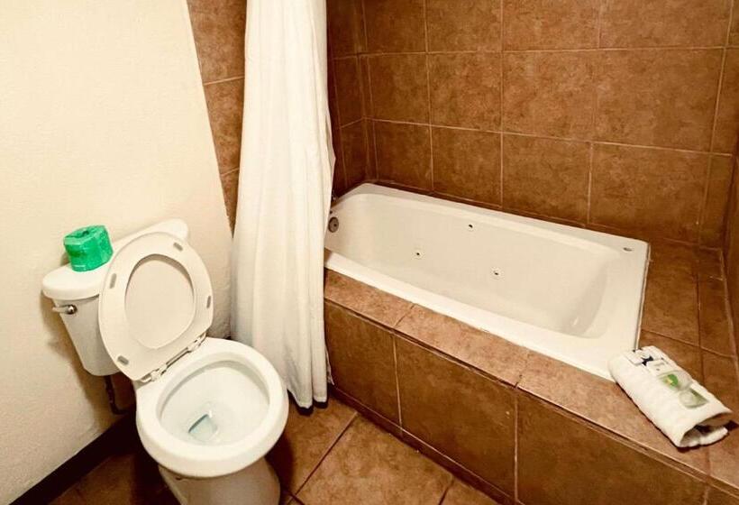 בית מלון כפרי Econo Lodge Inn & Suites Downtown San Antonio Riverwalk Area