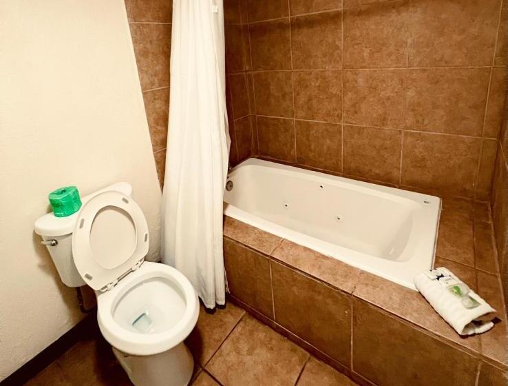 בית מלון כפרי Econo Lodge Inn & Suites Downtown San Antonio Riverwalk Area