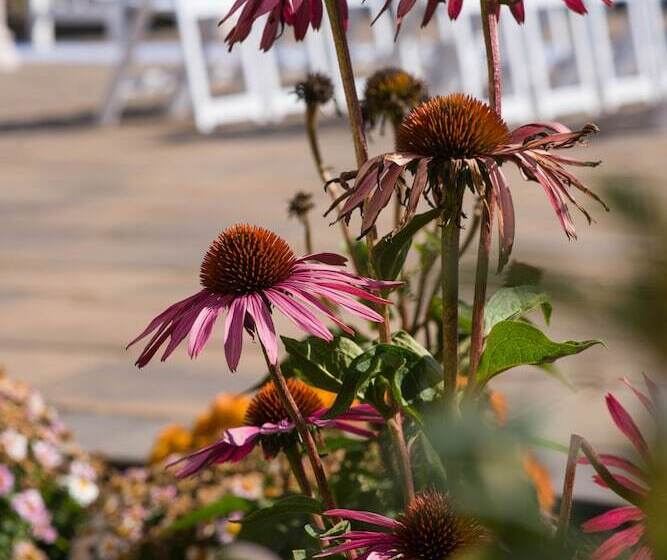 فندق Holiday Inn East Windsor, An Ihg