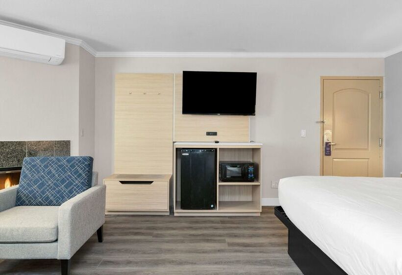 בית מלון כפרי Surestay By Best Western San Francisco Marina District