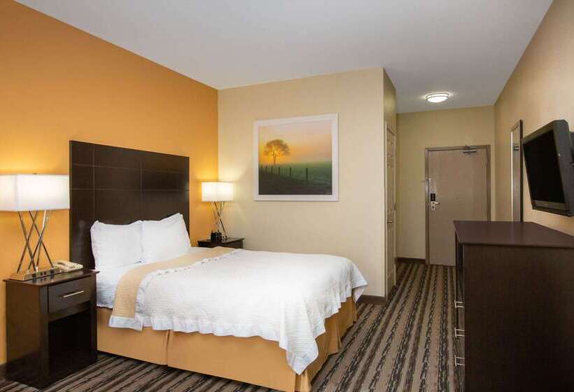 酒店 La Quinta Inn By Wyndham Lincoln