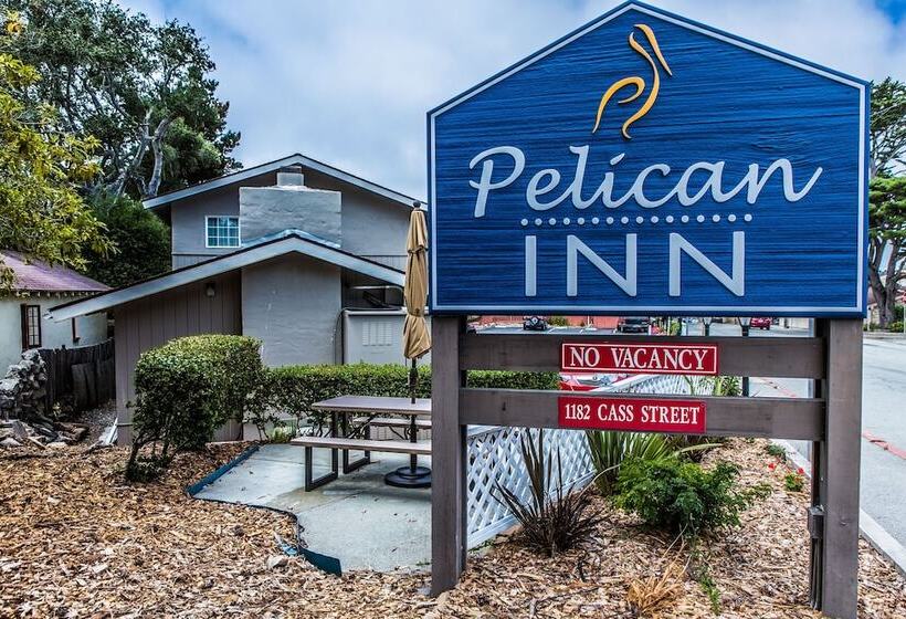 فندق Pelican Inn