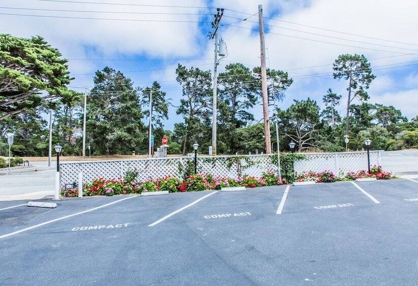 فندق Pelican Inn