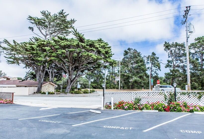 فندق Pelican Inn