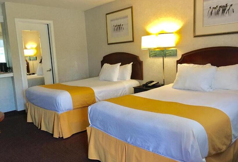 فندق Pelican Inn