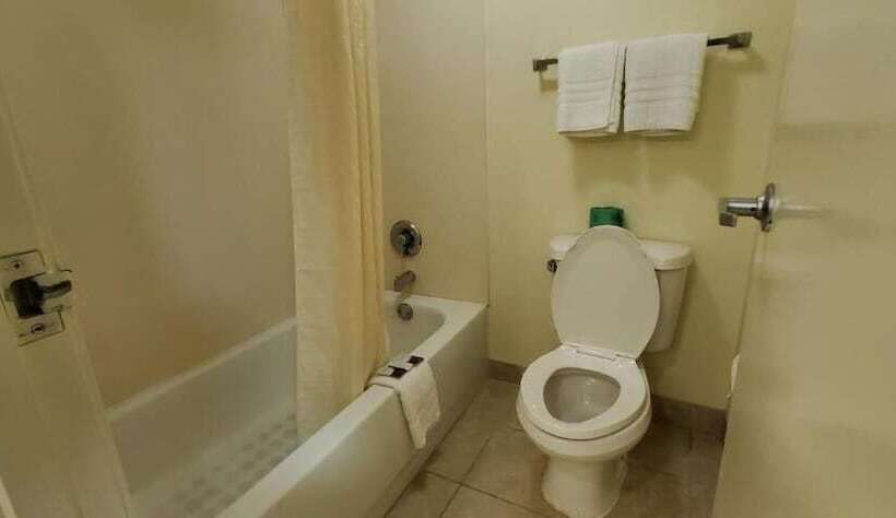 酒店 Plano Inn & Suites