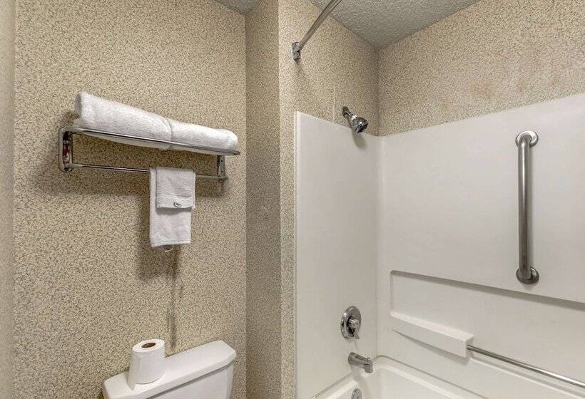 Отель Quality Inn Denver Tech Center