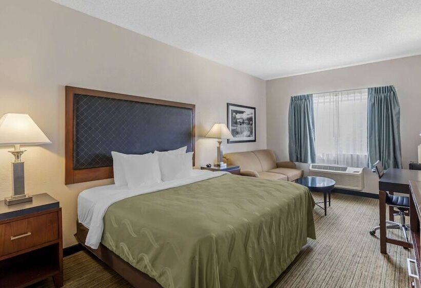 Отель Quality Inn Denver Tech Center