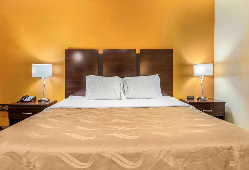 בית מלון כפרי Quality Inn Grand Rapids Near Downtown