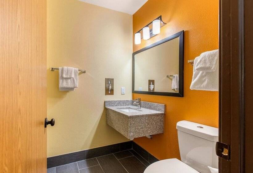 هتل Quality Inn Grand Rapids Near Downtown