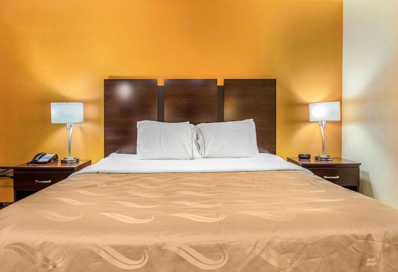 酒店 Quality Inn Grand Rapids Near Downtown