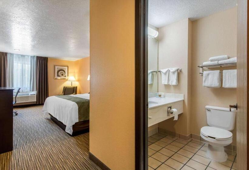 فندق Quality Inn & Suites Albuquerque North Near Balloon Fiesta Park