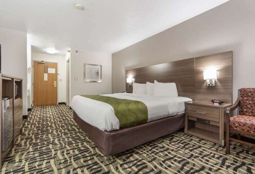 هتل Quality Inn & Suites West Omaha   Ne Linclon
