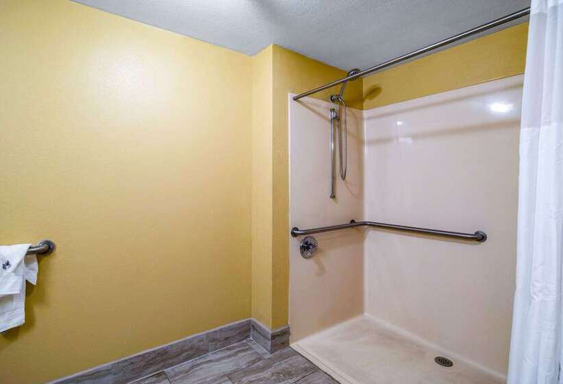 酒店 Quality Inn West Columbia  Cayce