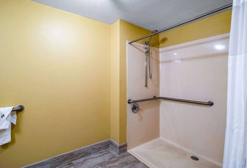 酒店 Quality Inn West Columbia  Cayce