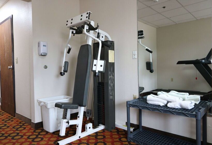 בית מלון כפרי Ramada By Wyndham Bolingbrook