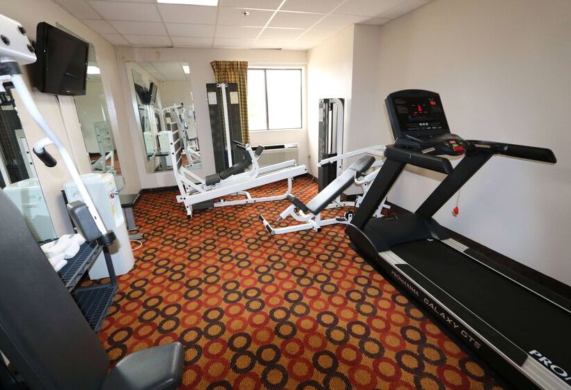 בית מלון כפרי Ramada By Wyndham Bolingbrook