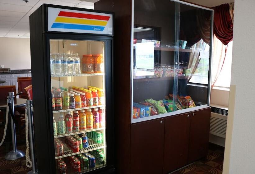 בית מלון כפרי Ramada By Wyndham Bolingbrook