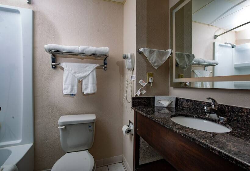 בית מלון כפרי Ramada By Wyndham Bolingbrook