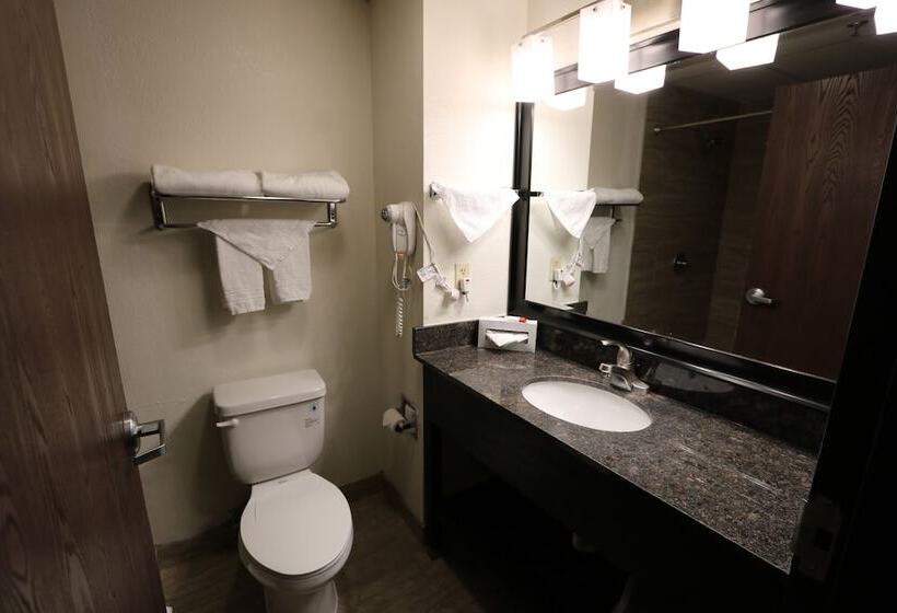 בית מלון כפרי Ramada By Wyndham Bolingbrook