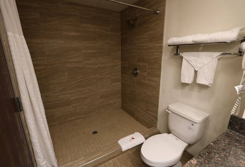 בית מלון כפרי Ramada By Wyndham Bolingbrook