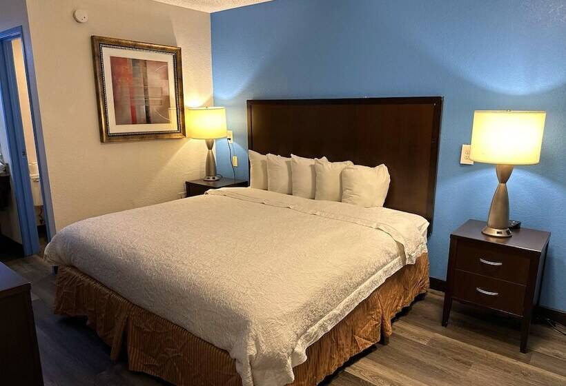 هتل American Inn & Suites Bishop Airport Flint