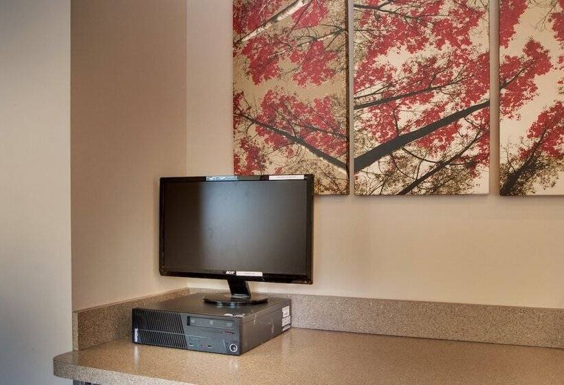 فندق Red Roof Inn St Louis  Westport