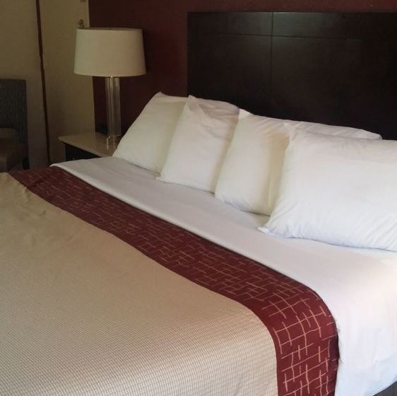 בית מלון כפרי Athens Lodge