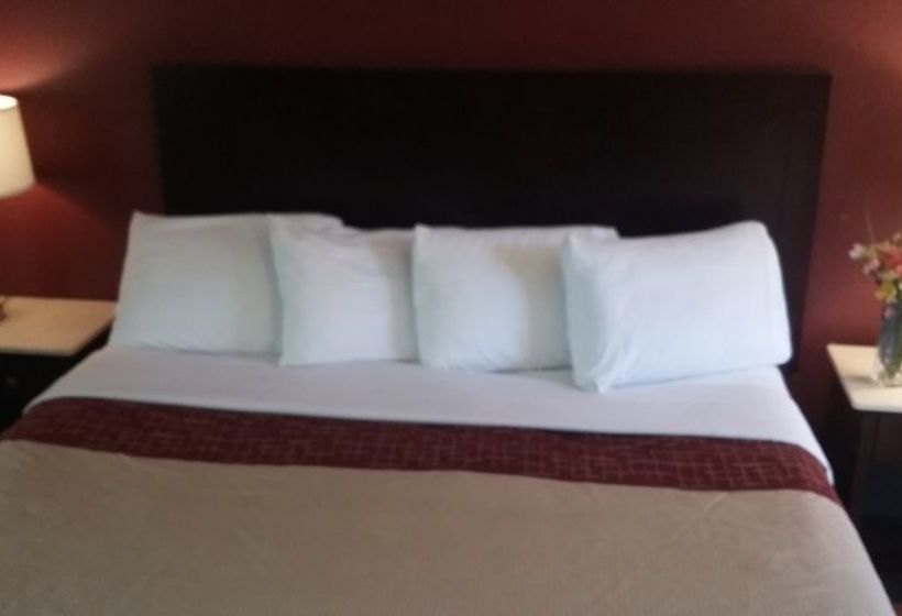 בית מלון כפרי Athens Lodge