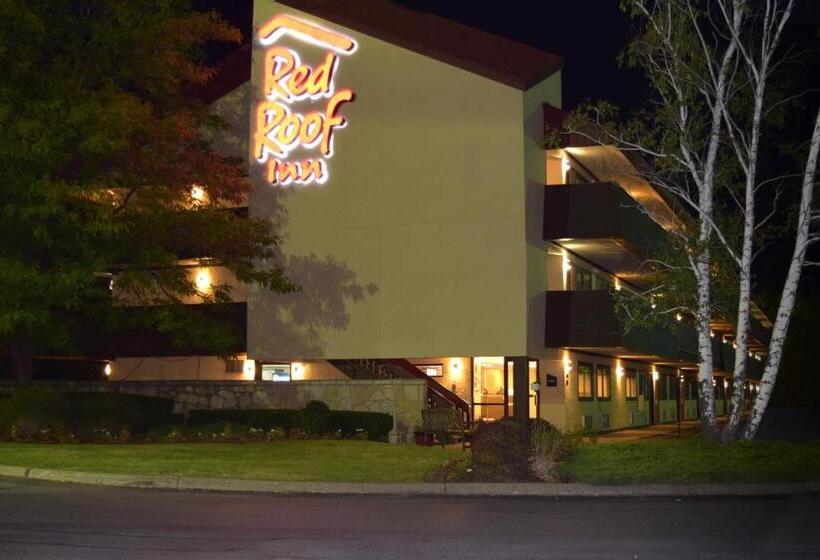 Отель Red Roof Inn Syracuse