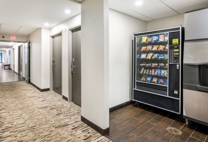 فندق Red Roof Inn Plus+ Boston   Woburn/ Burlington