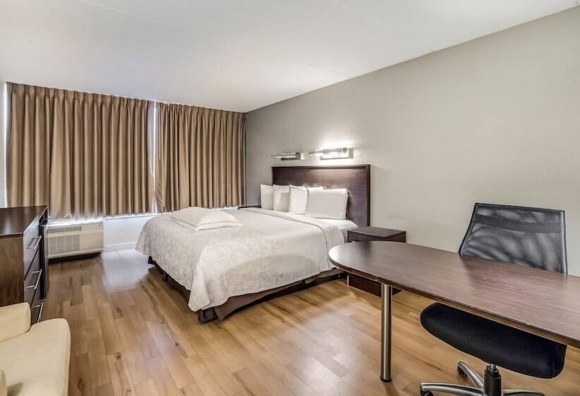 فندق Red Roof Inn Plus+ Boston   Woburn/ Burlington