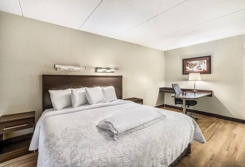 فندق Red Roof Inn Plus+ Boston   Woburn/ Burlington