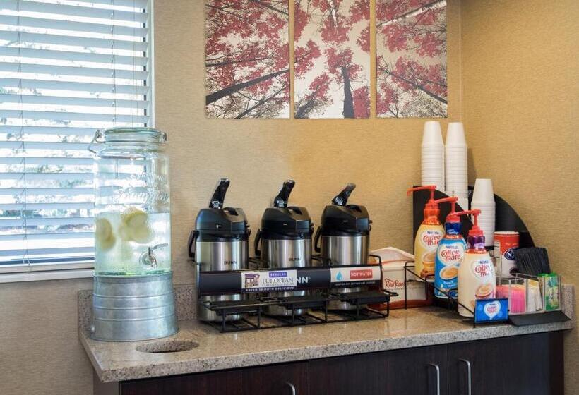 בית מלון כפרי Red Roof Inn Plus+ Columbus   Dublin