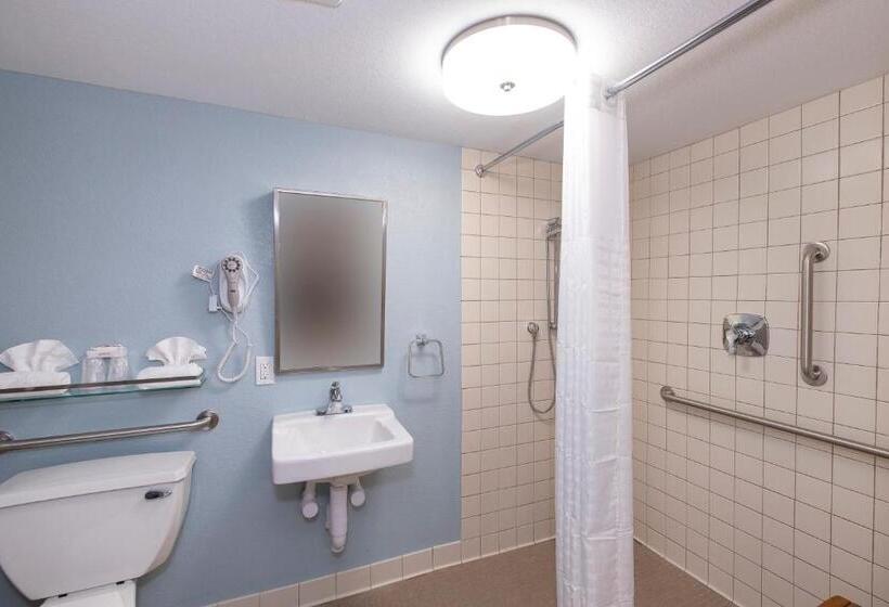 בית מלון כפרי Red Roof Inn Plus+ & Suites Naples Downtown 5th Ave S