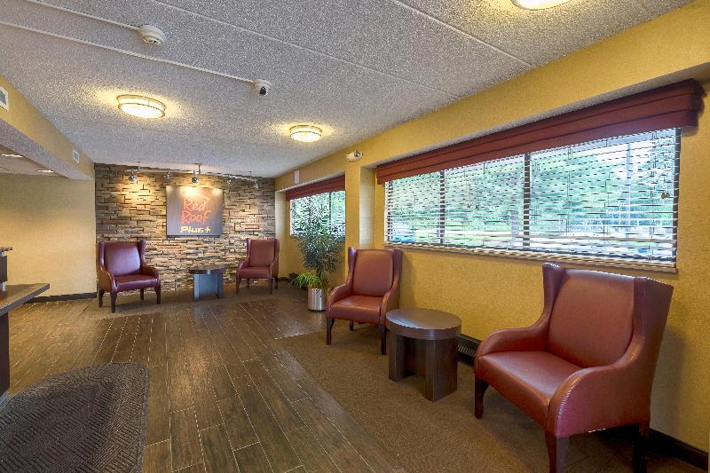 בית מלון כפרי Red Roof Inn Plus+ West Springfield