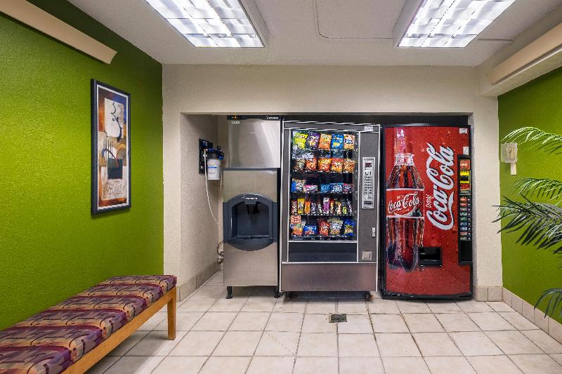 בית מלון כפרי Red Roof Inn Plus+ West Springfield