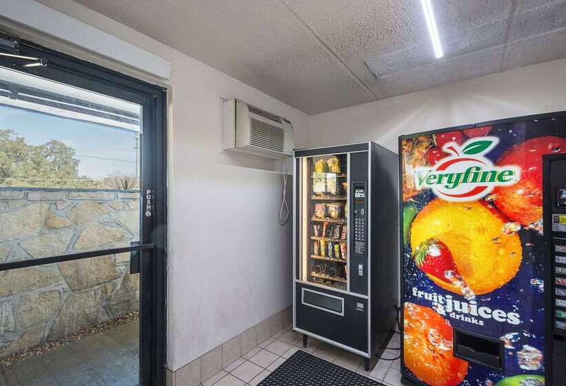 فندق Rodeway Inn Tampa Near Busch Gardensusf