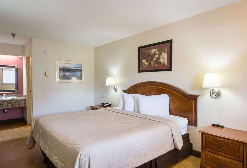 فندق Rodeway Inn Tampa Near Busch Gardensusf