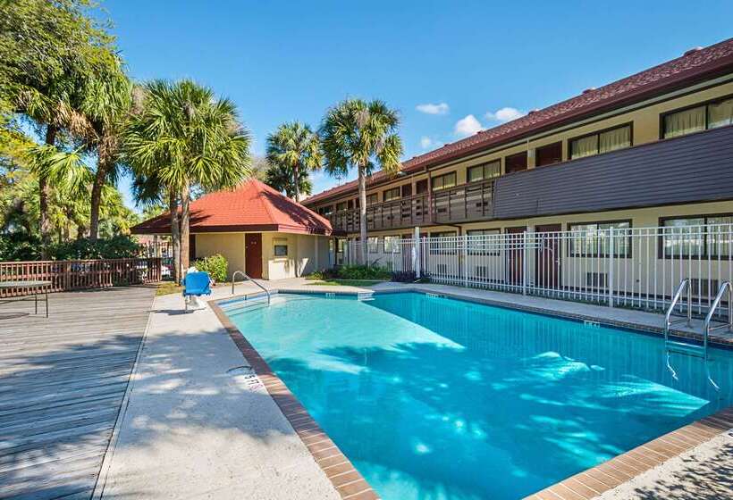 فندق Rodeway Inn Tampa Near Busch Gardensusf