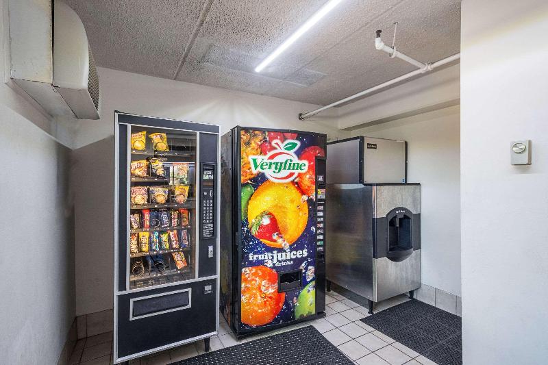 فندق Rodeway Inn Tampa Near Busch Gardensusf