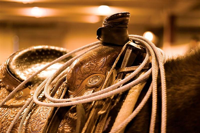 호텔 Sheraton Fort Worth Downtown