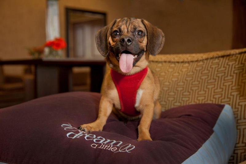 호텔 Sheraton Louisville Riverside