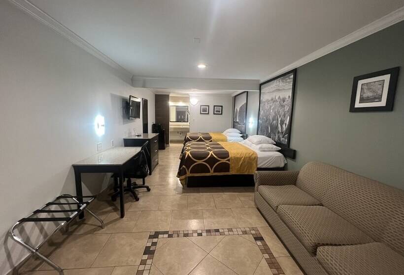 בית מלון כפרי Super 8 By Wyndham Mcallen Downtown Airport La Plaza Mall