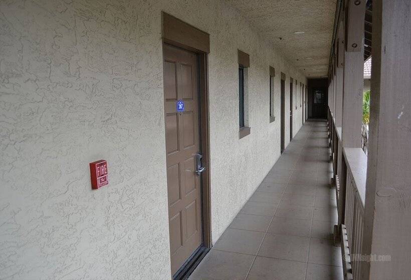 فندق The Miramar Inn