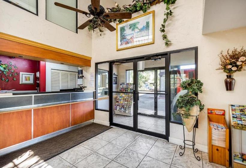 فندق Econo Lodge Palm Harbor  Clearwater