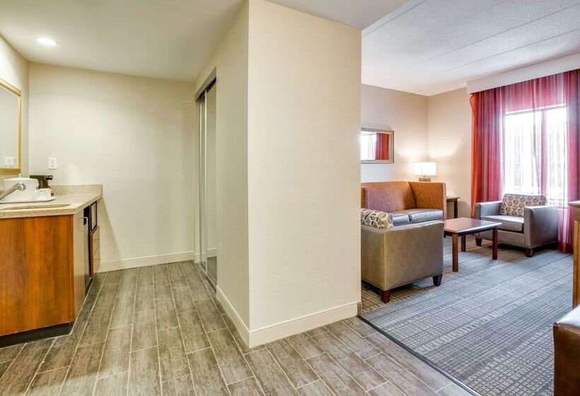 אתר נופש Hampton Inn Bostonnorwood